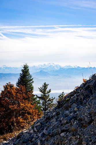 Vue sur le Mont Blanc