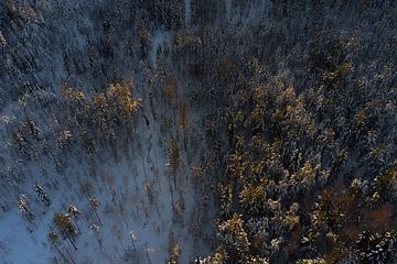 Swedish drone landscape