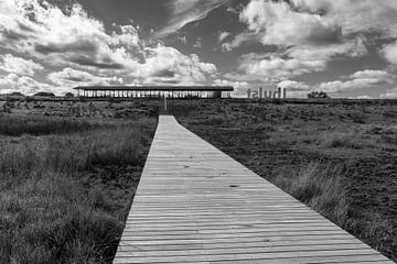 Verdronken Land van Saeftinghe, Nederland Monochroom van Imladris Images