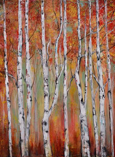 birch trees in the autumn... (birch wall:) by Els Fonteine
