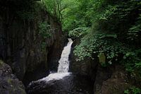 Chute d'eau dans une forêt