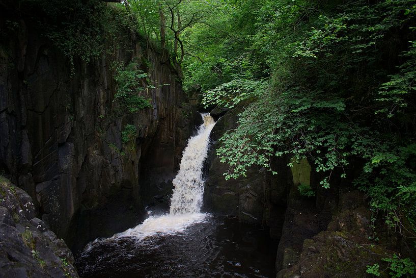 Waterfall in a forest by Tom Goldschmeding