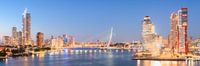 Rotterdam Skyline Panorama 2022