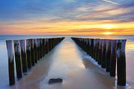 Sonnenuntergang in Zoutelande, Zeeland von Sugar_bee_photography Miniaturansicht
