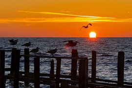 Zonsopgang | Vissersdorp Vitt van Franz Müller