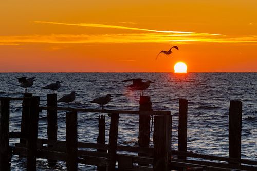 Sonnenaufgang | Fischerdorf Vitt