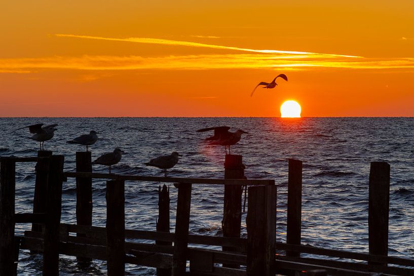 Sunrise | Fishing village Vitt by Franz Müller