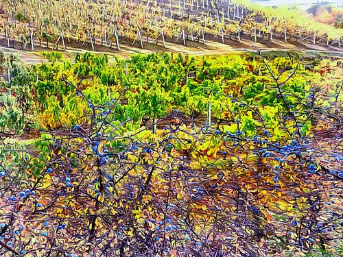 Toscaanse herfst contrasten