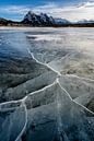 Abraham Lake by Luc Buthker thumbnail