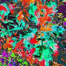 colorful autumn by Freddy Hoevers thumbnail