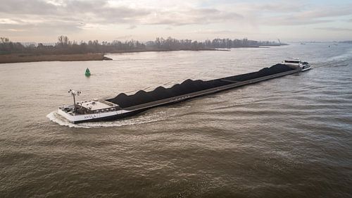 Motor freighter Avila