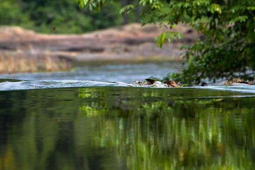De rand van een waterval in Suriname