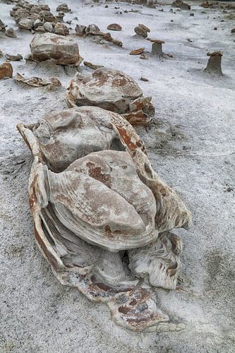 Œufs de roche rayée avec du grès à l'aube, Bisti Badlands, De-Nah-Zin Wilderness Area, Nouveau-Mexiq