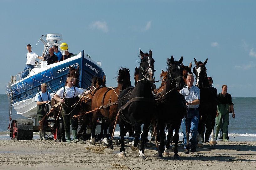 Trek Paarden trekken boot aan land Ameland van Brian Morgan