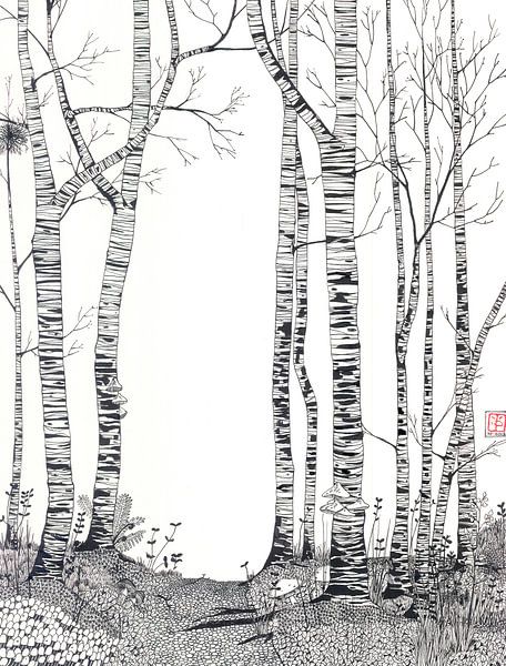 Birch wood by Yvonne Jansen