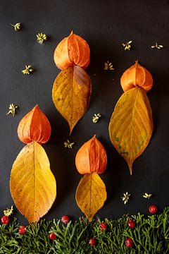 Avent - les bougies appartiennent sur Marlieke van der Willik