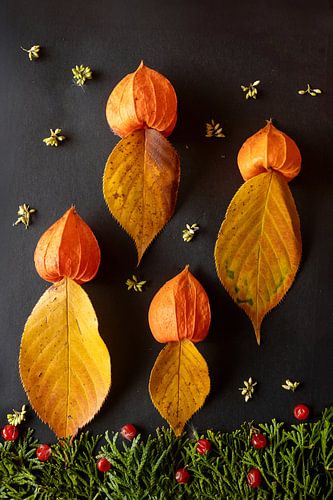 Advent - Kerzen gehören von Marlieke van der Willik