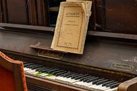 Play the piano - Schubert