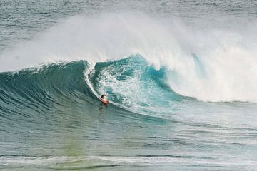 Surfen van Walljar