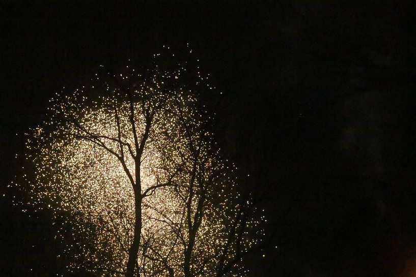 Sparks by Shirley Douwstra