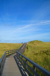 Hölzerner Bohlenweg durch die Dünenlandschaft