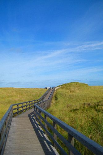 A wooden boardwalk through the dune landscape
