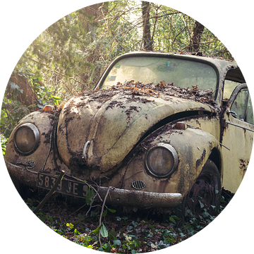 VW kever in het bos van Kristof Ven
