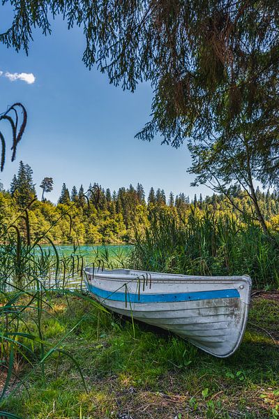 Roeiboot aan de oever van een helder groen bergmeer par Dafne Vos