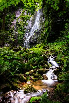 Burgbach waterfall in the Black Forest by Fotos by Jan Wehnert