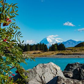 Lake Pukaki New Zealand van Sylvia Weenink