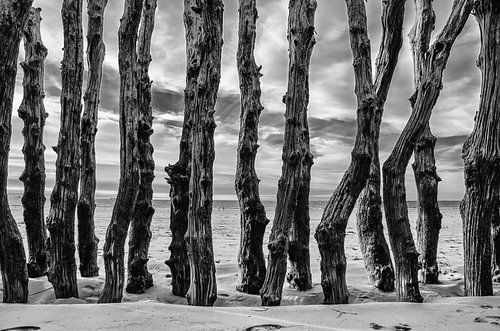 Golfbrekers in St. Malo Bretagne