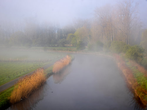 A river amongst the reeds and the morning mist