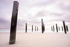 Linienspiel in Petten von Tom Vogels