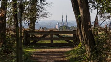 Uitzicht op de kerk van Cuijk vanaf de Mookerheide van Rob Peters