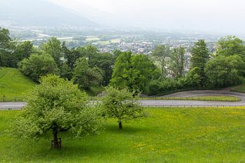 Chemin á travers la beauté naturelle du Liechtenstein