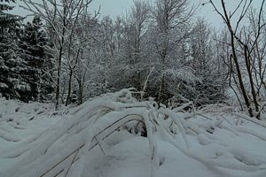 Winter Landschaften