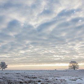 Weidse winter von Tony Ruiter