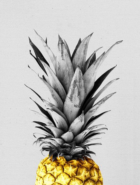 Pineapple 1 by Vitor Costa