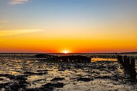 Waddenzee, lever de soleil à Paesens Moddergat (épave de Wierum)