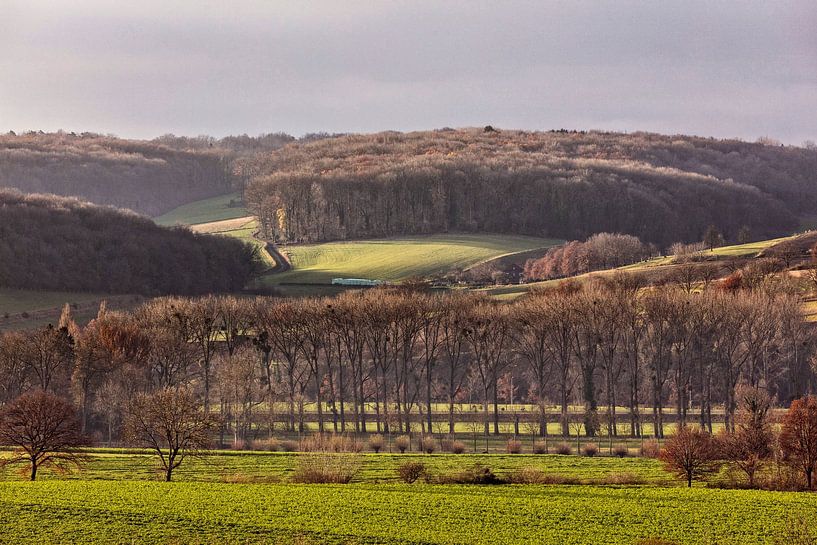 Wittemer Allee by Rob Boon