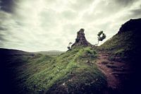 The Fairy Glen