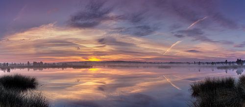 Panoramische Reflexion