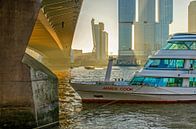 Under the bridge in the golden hour by Frans Blok - photos, art and other wall decoration thumbnail