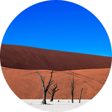Dodevlei / Deadvlei: versteende bomen voor rode zandduinen van Martijn Smeets