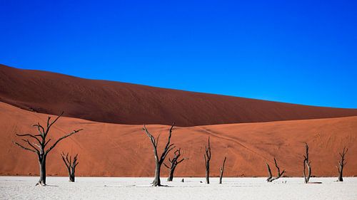 Dodevlei / Deadvlei: versteende bomen voor rode zandduinen