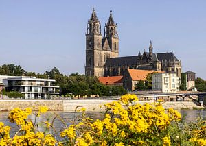Magdeburg