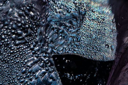 Regenboog Vis | Abstracte Foto | Fine Art