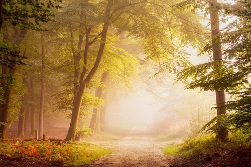 The road to the unknown