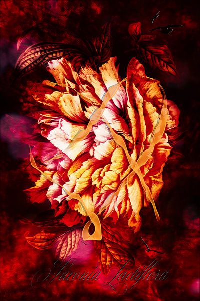 Peonia mit Schleife Rechts von Helga Blanke