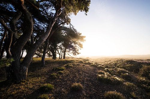 Zonsopkomst Balloereveld